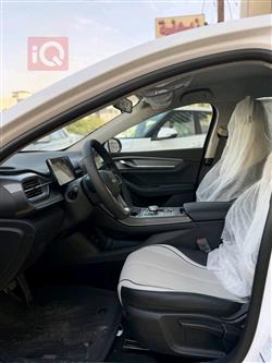 بی وای دی دیسترۆیەر 05